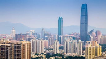 深圳人,那个,电子身份证了解一下
