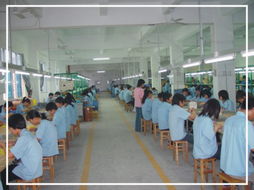 深圳电子产业中的荣华达电子厂 专业与创新的代表